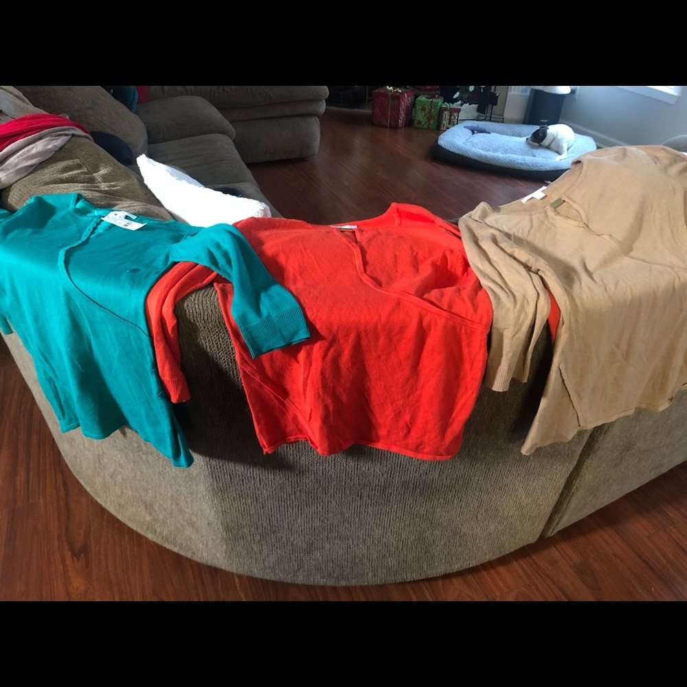 3 NY & Co. Sweaters